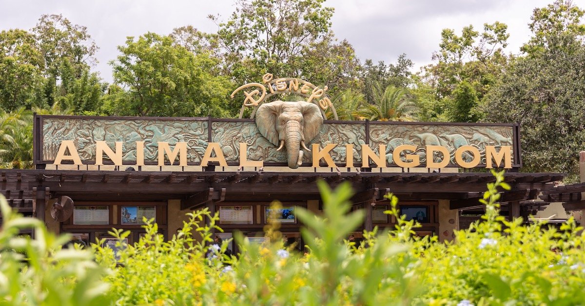 Disney's Animal Kingdom